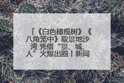 《白色橄榄树》《八角笼中》取景地沙湾 凭借“景、城、人”火爆出圈丨新闻发布最前线