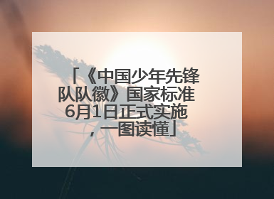《中国少年先锋队队徽》国家标准6月1日正式实施，一图读懂