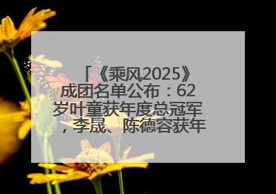 《乘风2025》成团名单公布：62岁叶童获年度总冠军，李晟、陈德容获年度高光人物