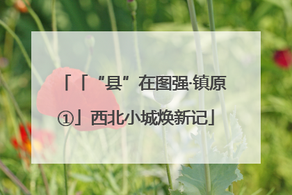 「“县”在图强·镇原①」西北小城焕新记