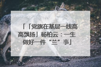 「党旗在基层一线高高飘扬」杨柏云：一生做好一件“兰”事