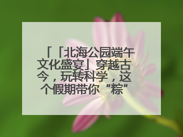「北海公园端午文化盛宴」穿越古今，玩转科学，这个假期带你“粽”享欢乐！
