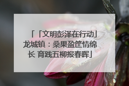 「文明彭泽在行动」龙城镇：桑果盈筐情绵长 育践五柳报春晖