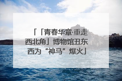 「青春华章·重走西北角」博物馆丑东西为“神马”爆火
