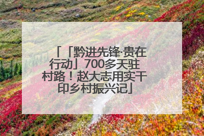 「黔进先锋·贵在行动」700多天驻村路！赵大志用实干印乡村振兴记