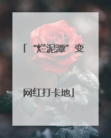 “烂泥潭”变网红打卡地