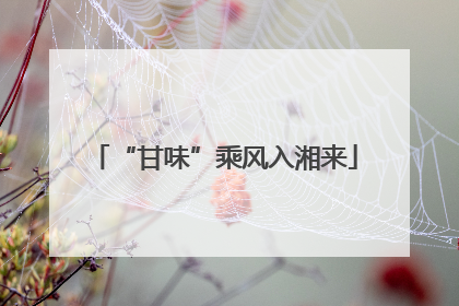 “甘味”乘风入湘来