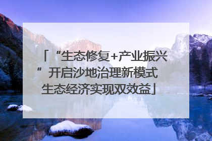 “生态修复+产业振兴”开启沙地治理新模式 生态经济实现双效益
