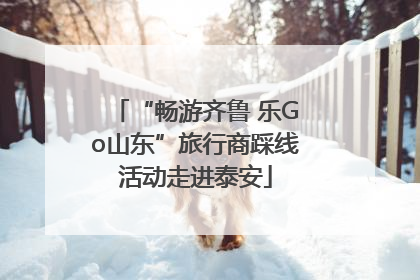 “畅游齐鲁 乐Go山东”旅行商踩线活动走进泰安
