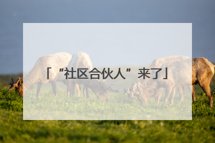 “社区合伙人”来了