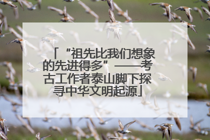 “祖先比我们想象的先进得多”——考古工作者泰山脚下探寻中华文明起源