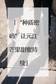 “种质密码”让元江芒果甜蜜持续