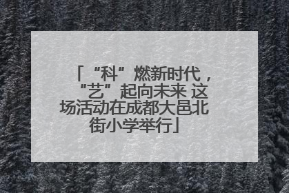 “科”燃新时代，“艺”起向未来 这场活动在成都大邑北街小学举行