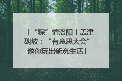 “粽”情洛阳丨孟津魏坡：“有意思大会”邀你玩出新意生活