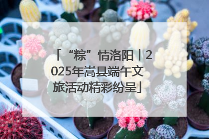 “粽”情洛阳丨2025年嵩县端午文旅活动精彩纷呈