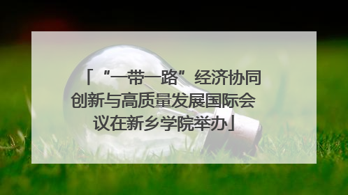 “一带一路”经济协同创新与高质量发展国际会议在新乡学院举办