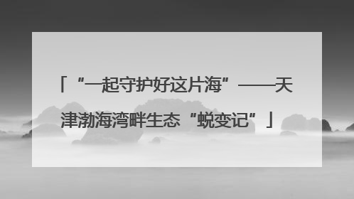 “一起守护好这片海”——天津渤海湾畔生态“蜕变记”