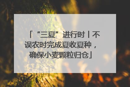 “三夏”进行时丨不误农时完成夏收夏种，确保小麦颗粒归仓