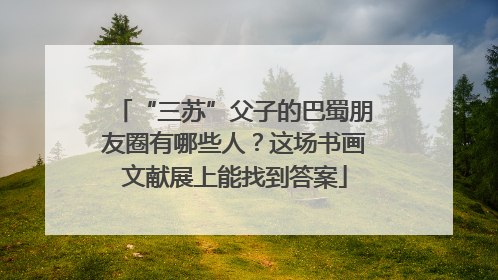 “三苏”父子的巴蜀朋友圈有哪些人？这场书画文献展上能找到答案