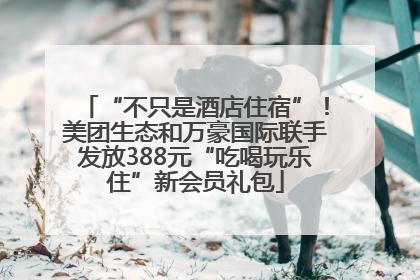 “不只是酒店住宿”！美团生态和万豪国际联手发放388元“吃喝玩乐住”新会员礼包