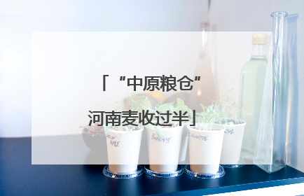 “中原粮仓”河南麦收过半