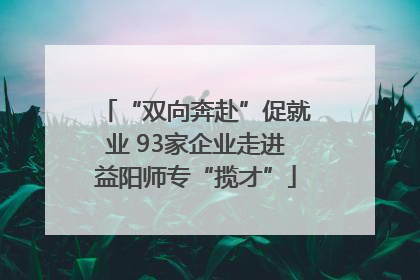 “双向奔赴”促就业 93家企业走进益阳师专“揽才”