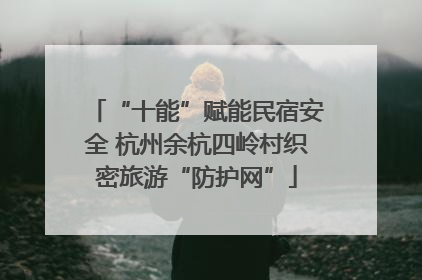 “十能”赋能民宿安全 杭州余杭四岭村织密旅游“防护网”