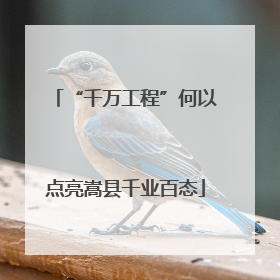 “千万工程”何以点亮嵩县千业百态
