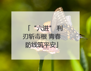 “六进” 利刃斩毒根 青春防线筑平安