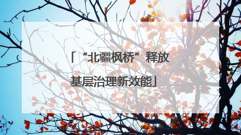 “北疆枫桥”释放基层治理新效能