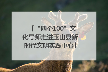 “四个100”文化导师走进玉山县新时代文明实践中心