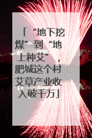 “地下挖煤”到“地上种艾”，肥城这个村艾草产业收入破千万