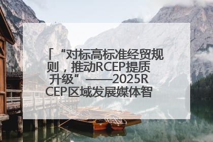 “对标高标准经贸规则，推动RCEP提质升级”——2025RCEP区域发展媒体智库论坛举行专题对话