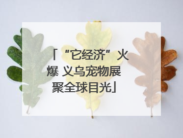 “它经济”火爆 义乌宠物展聚全球目光
