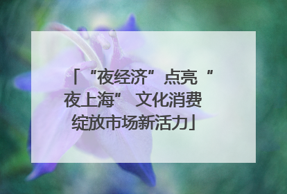 “夜经济”点亮“夜上海” 文化消费绽放市场新活力