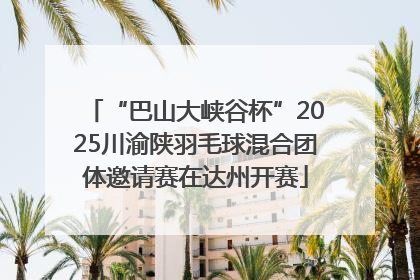 “巴山大峡谷杯”2025川渝陕羽毛球混合团体邀请赛在达州开赛