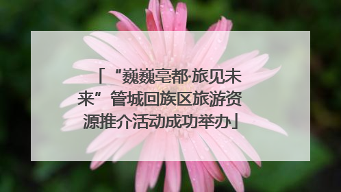 “巍巍亳都·旅见未来”管城回族区旅游资源推介活动成功举办