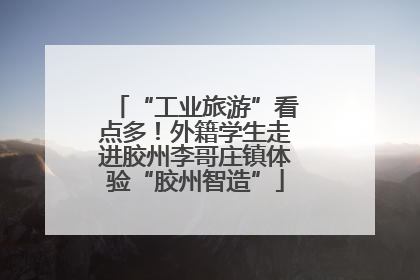 “工业旅游”看点多！外籍学生走进胶州李哥庄镇体验“胶州智造”