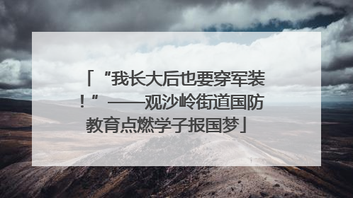 “我长大后也要穿军装！”——观沙岭街道国防教育点燃学子报国梦