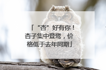 “杏”好有你！杏子集中登鹭，价格低于去年同期