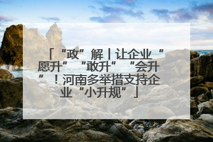 “政”解丨让企业“愿升”“敢升”“会升”！河南多举措支持企业“小升规”
