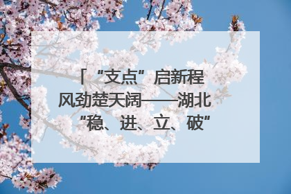 “支点”启新程 风劲楚天阔——湖北“稳、进、立、破”谱写“荆”彩篇章