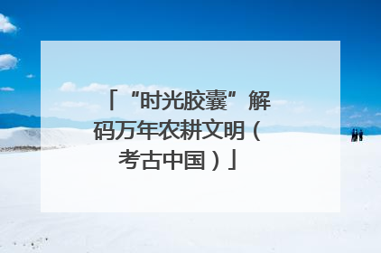 “时光胶囊”解码万年农耕文明（考古中国）