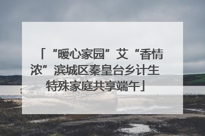 “暖心家园”艾“香情浓”滨城区秦皇台乡计生特殊家庭共享端午