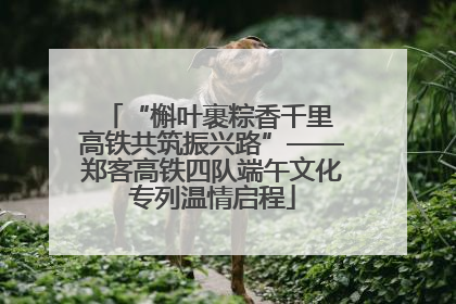 “槲叶裹粽香千里 高铁共筑振兴路”——郑客高铁四队端午文化专列温情启程