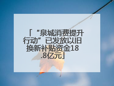 “泉城消费提升行动”已发放以旧换新补贴资金18.8亿元