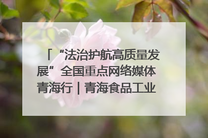 “法治护航高质量发展”全国重点网络媒体青海行｜青海食品工业协会：架起“青字号”美食的产业化桥梁