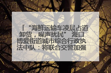 “海鲜运输车凌晨占道卸货，噪声扰民” 海口博爱街道城市综合行政执法中队：将联合交警加强长堤路一带巡逻