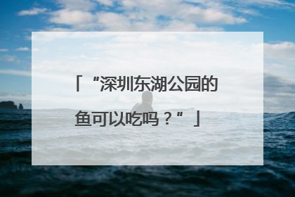 “深圳东湖公园的鱼可以吃吗？”