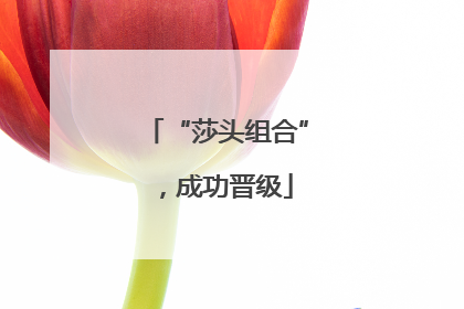“莎头组合”，成功晋级